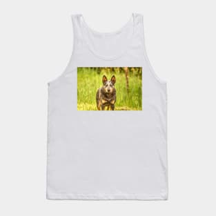 ibs brown dog Tank Top